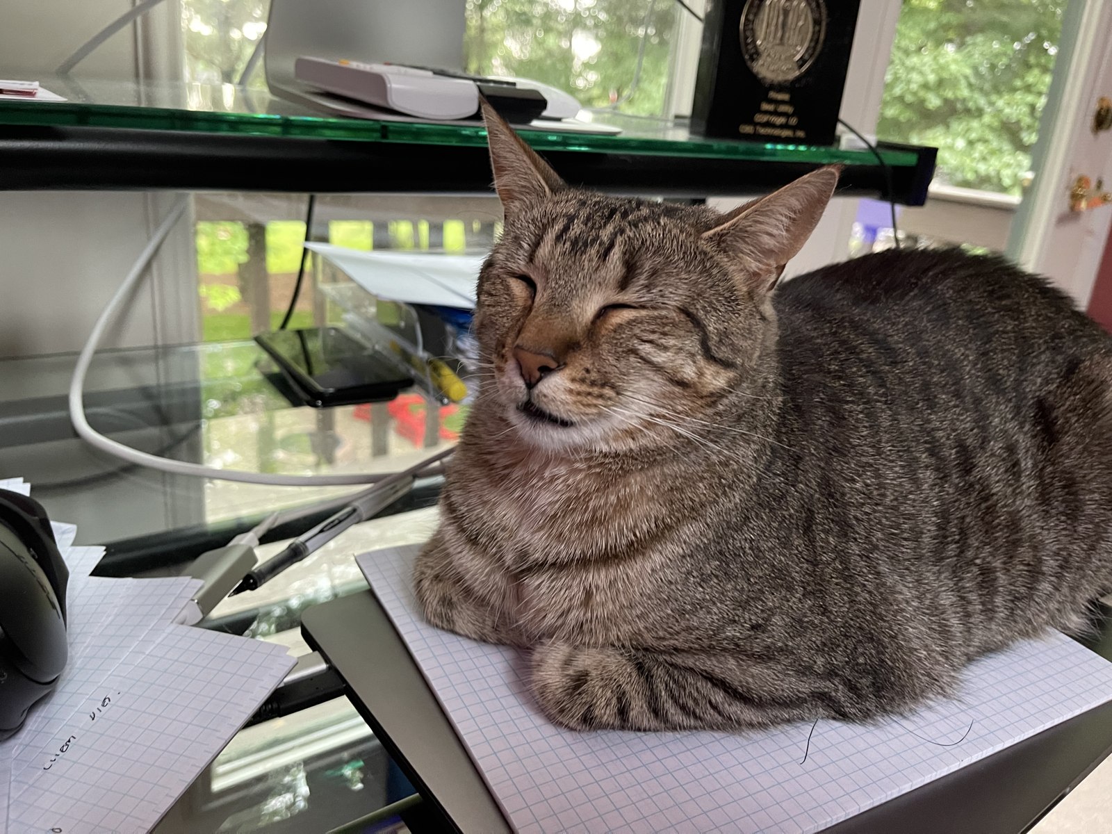 Emma the cat resting on papers beside studio equipment